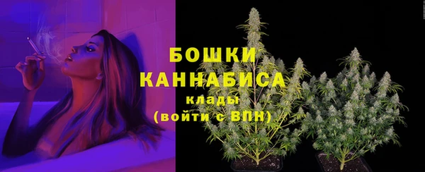 PSILOCYBIN Бородино