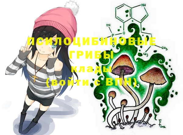 PSILOCYBIN Бородино