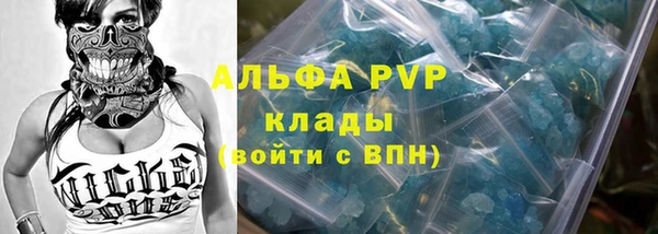 PSILOCYBIN Бородино