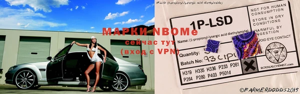 PSILOCYBIN Бородино
