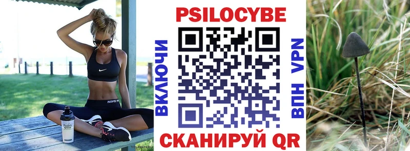 Купить  Скопин  Галлюциногенные грибы GOLDEN TEACHER 
